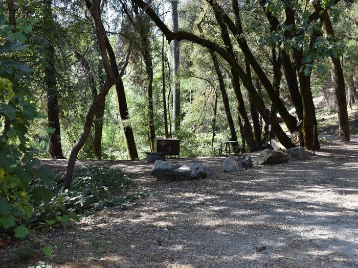 Camper submitted image from Peltier Bridge Primitive Campground — Whiskeytown-Shasta-Trinity National Recreation Area - 3