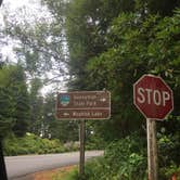 Review photo of Jessie M. Honeyman Memorial State Park Campground by Sofia S., August 2, 2017