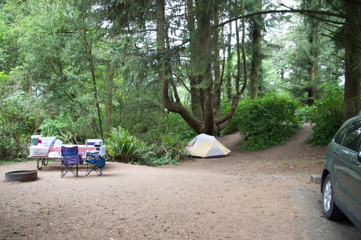 Camper submitted image from Harris Beach State Park Campground - 5