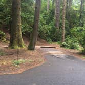Review photo of Jessie M. Honeyman Memorial State Park Campground by Sofia S., August 2, 2017