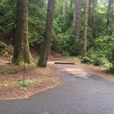 Review photo of Jessie M. Honeyman Memorial State Park Campground by Sofia S., August 2, 2017
