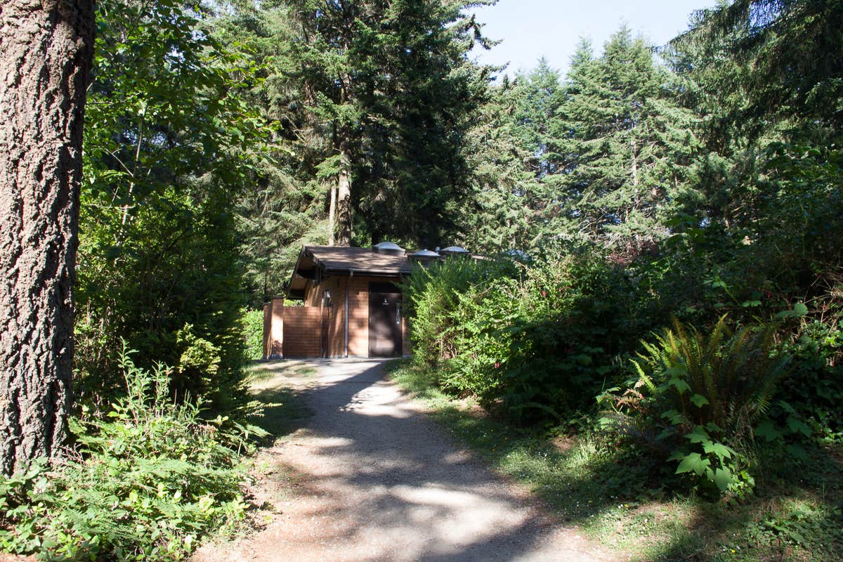 Camper submitted image from Harris Beach State Park Campground - 5