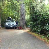 Review photo of Jessie M. Honeyman Memorial State Park Campground by Zoe  S., August 2, 2017