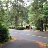 Review photo of Jessie M. Honeyman Memorial State Park Campground by Zoe  S., August 2, 2017