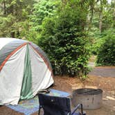 Review photo of Jessie M. Honeyman Memorial State Park Campground by Zoe  S., August 2, 2017