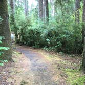 Review photo of Jessie M. Honeyman Memorial State Park Campground by Zoe  S., August 2, 2017