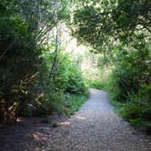 Review photo of Harris Beach State Park Campground by Lisa H., June 28, 2016