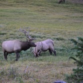 Review photo of Estes Park Campground at Mary's Lake by Hannah O., August 2, 2017