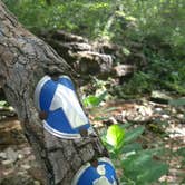 Review photo of St. Francois State Park Campground by Alex T., August 2, 2017