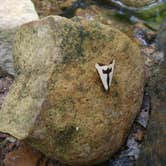 Review photo of St. Francois State Park Campground by Alex T., August 2, 2017