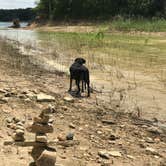 Review photo of Lone Point by Melissa B., August 2, 2017