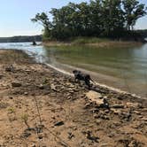 Review photo of Lone Point by Melissa B., August 2, 2017