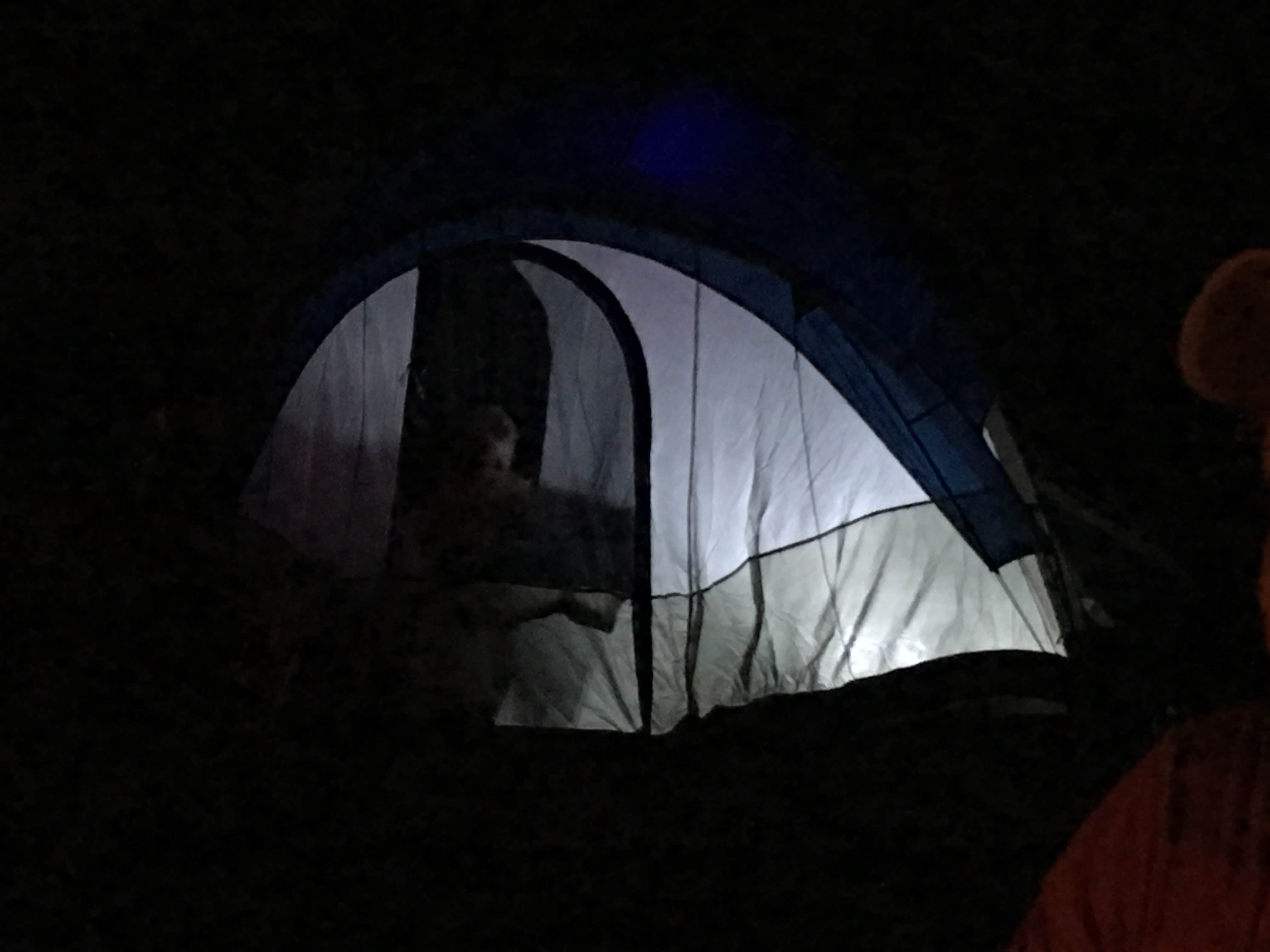 Camper submitted image from Thomson Causeway - 3