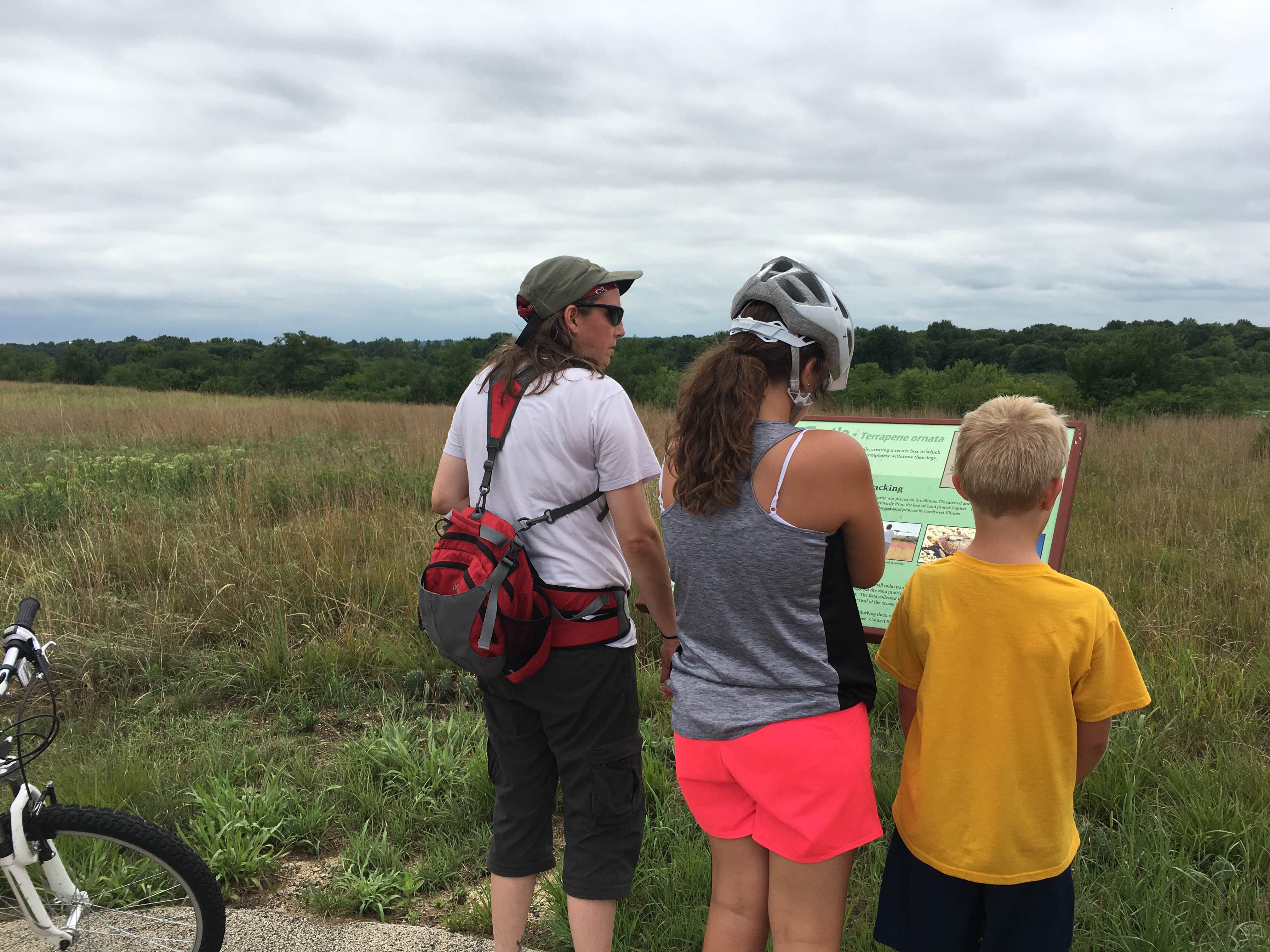 Thomson Causeway Camping The Dyrt