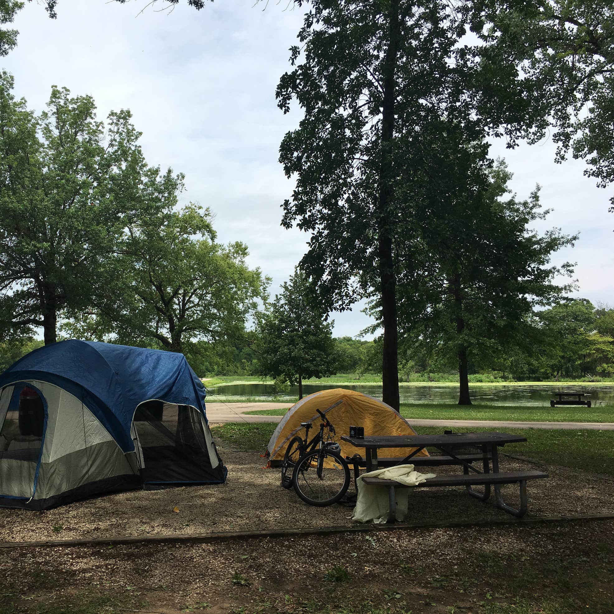 Thomson Causeway Camping The Dyrt