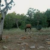 Review photo of Mather Campground — Grand Canyon National Park by Tj B., August 3, 2017