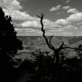 Review photo of Mather Campground — Grand Canyon National Park by Tj B., August 3, 2017