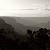 Review photo of Mather Campground — Grand Canyon National Park by Tj B., August 3, 2017