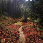 Review photo of Boulder Lake — Olympic National Park by Zach A., August 3, 2017
