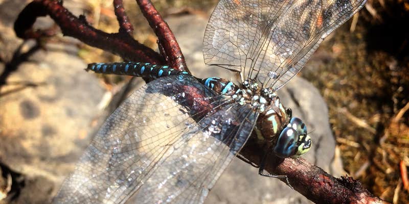 Camper submitted image from Boulder Lake — Olympic National Park