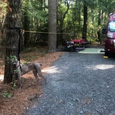 Review photo of Janes Island State Park Campground by Ben J., September 1, 2019