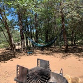 Review photo of Burnt Rancheria Campground by Kate W., September 1, 2019