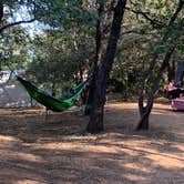 Review photo of Burnt Rancheria Campground by Kate W., September 1, 2019