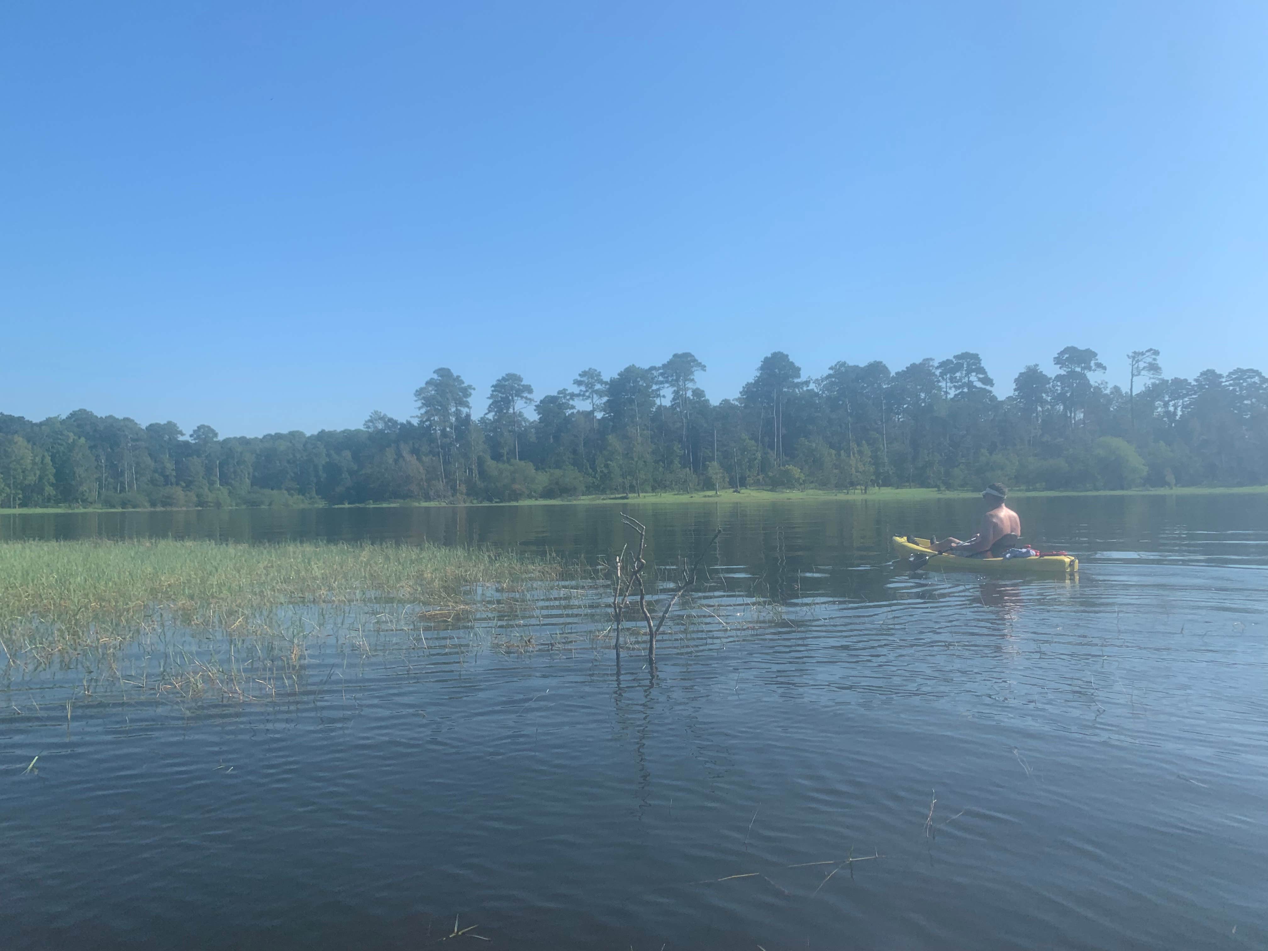 Woodville photo 4