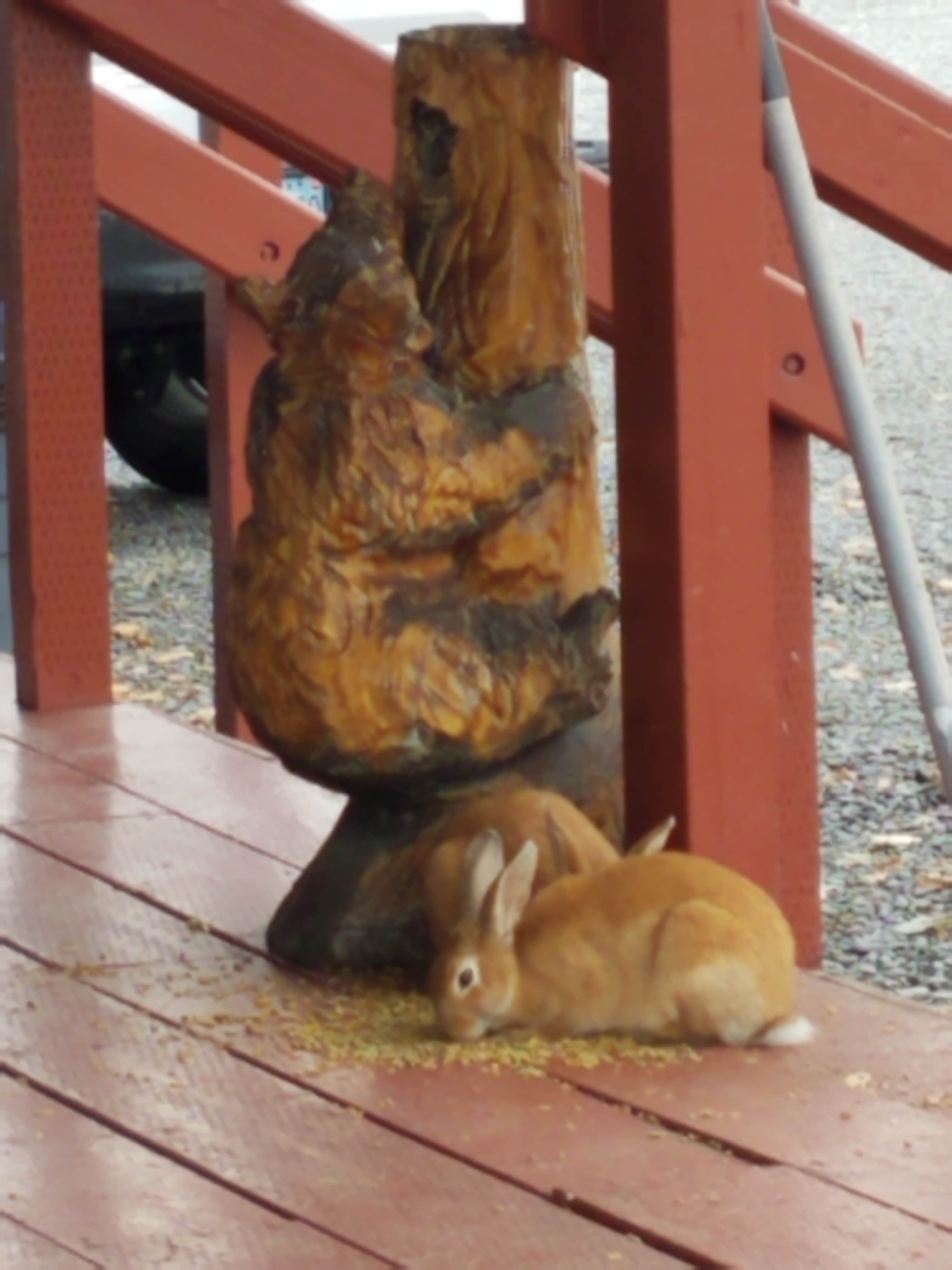 Camping near Valdez RV Park: Bear Paw RV Park, Valdez, Alaska