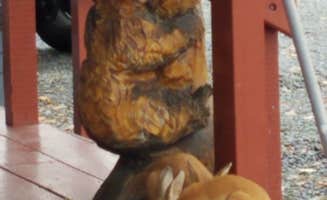 Shadara W.'s photo of camping with pets at Bear Paw RV Park near Tatitlek, AK