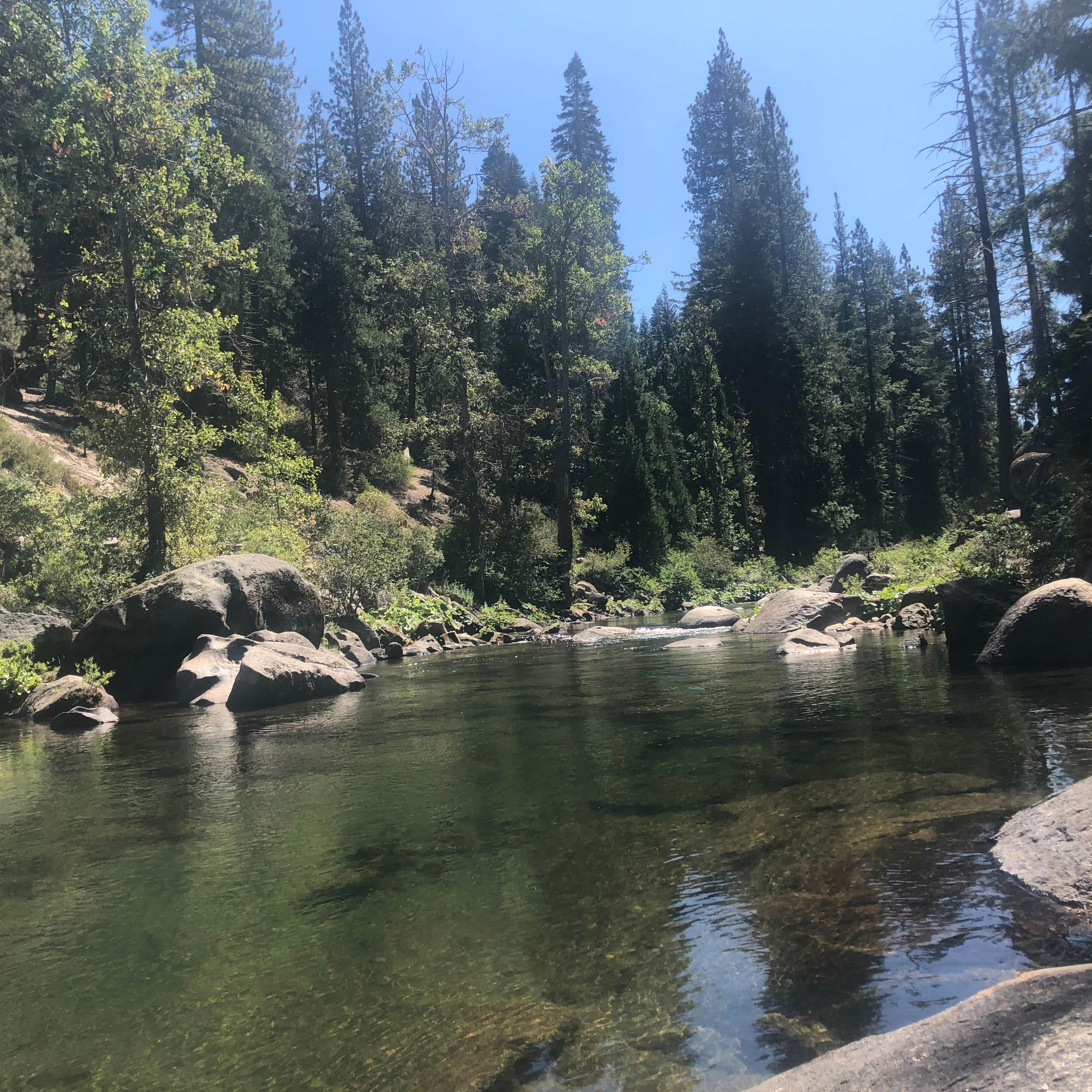 Escape to the Emerald Embrace: Your Guide to China Flat Campground