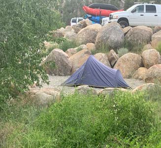 Camper-submitted photo from Spruce Grove Campground
