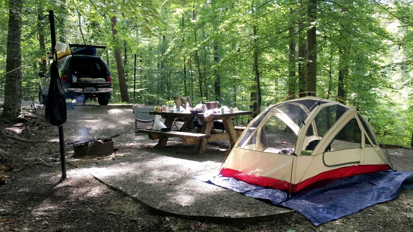 Wayne H.'s photo at Twin Knobs Recreation Area near Clearfield, KY