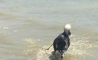 Wayne H.'s photo of camping with pets at Twin Knobs Recreation Area near Carlisle, KY