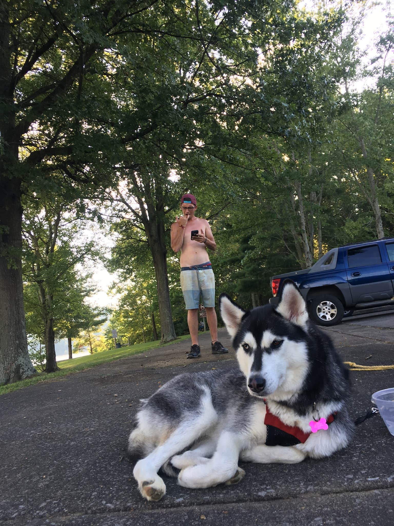 Wayne H.'s photo of camping with pets at Twin Knobs Recreation Area near Daniel Boone National Forest