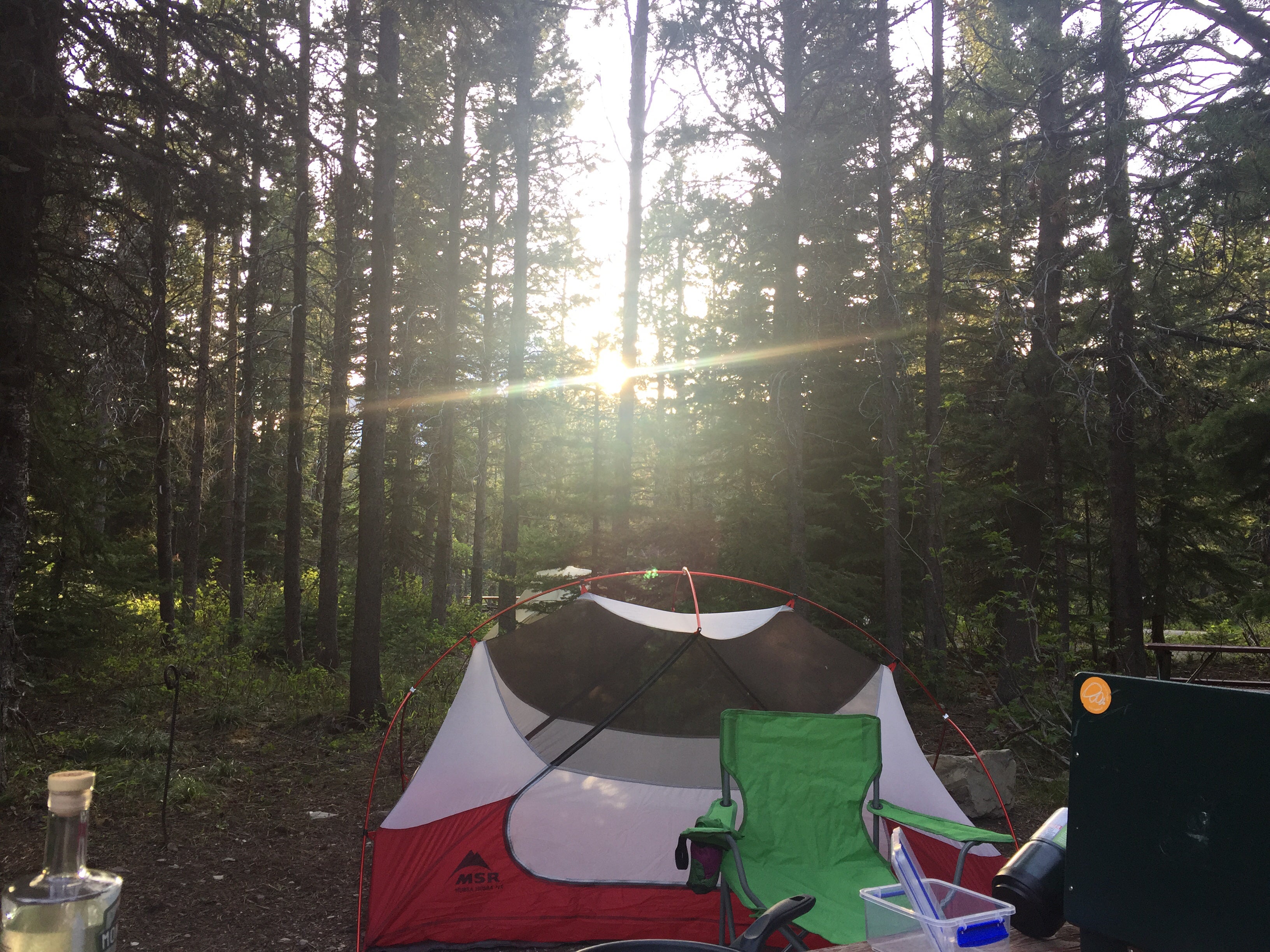 Camper submitted image from Many Glacier Campground — Glacier National Park - 5