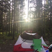 Review photo of Many Glacier Campground — Glacier National Park by Shaun W., August 3, 2017