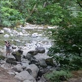 Review photo of Shady Cove Campground by Ryan K., August 3, 2017