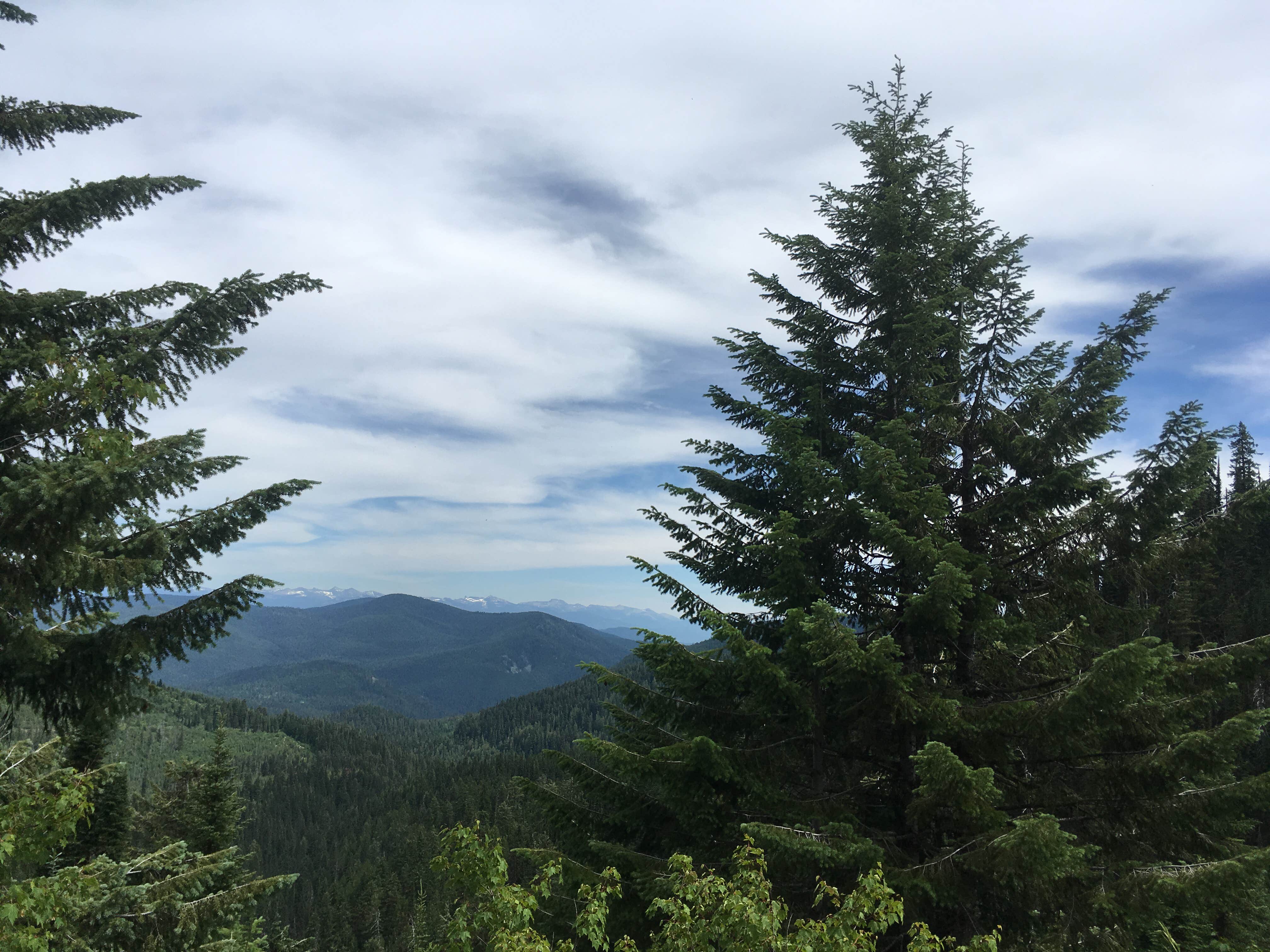 Camper submitted image from Sullivan Lake Campground - 1