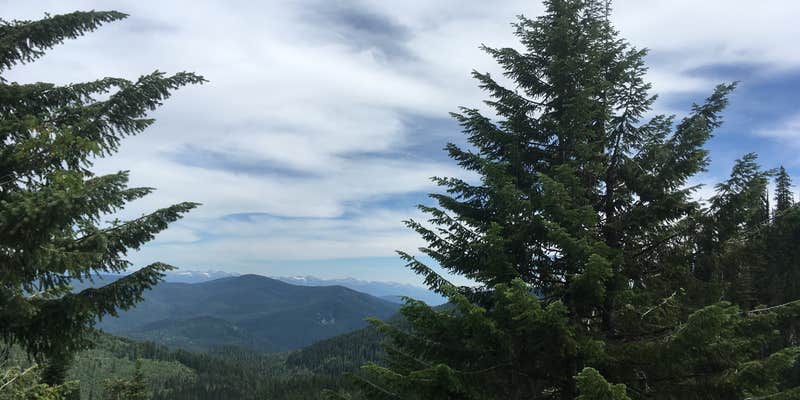 Camper submitted image from Sullivan Lake Campground