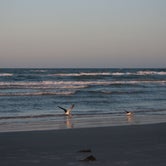 Review photo of South Beach — Padre Island National Seashore by Chastity H., September 2, 2019