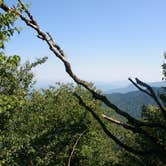 Review photo of Elkmont Campground — Great Smoky Mountains National Park by Chastity H., September 2, 2019