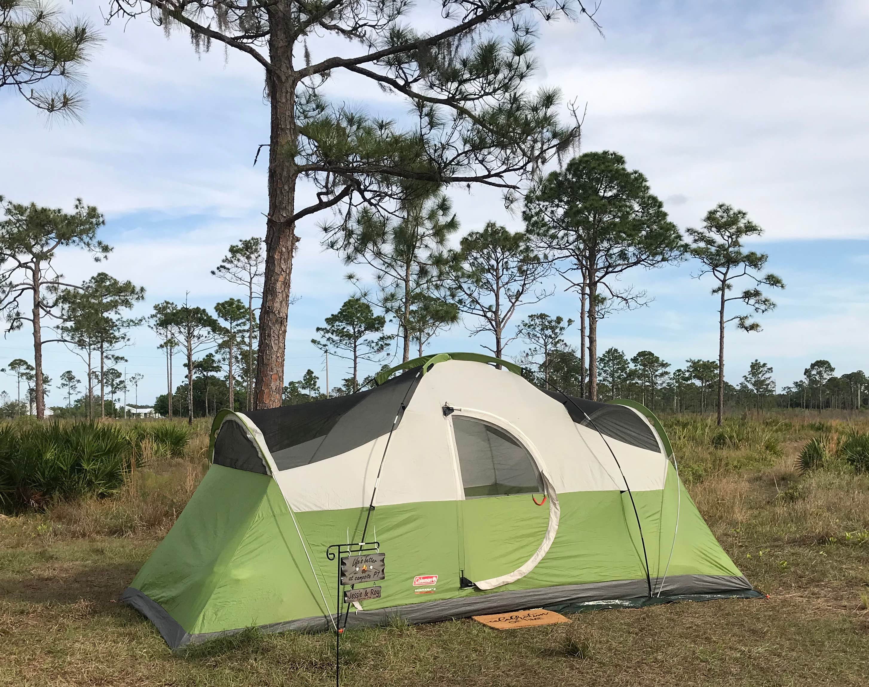 Roy L.'s photo of tent camping at Highlands Hammock State Park Campground near Lithia, FL
