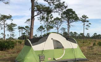Roy L.'s photo of tent camping at Highlands Hammock State Park Campground near Venus, FL