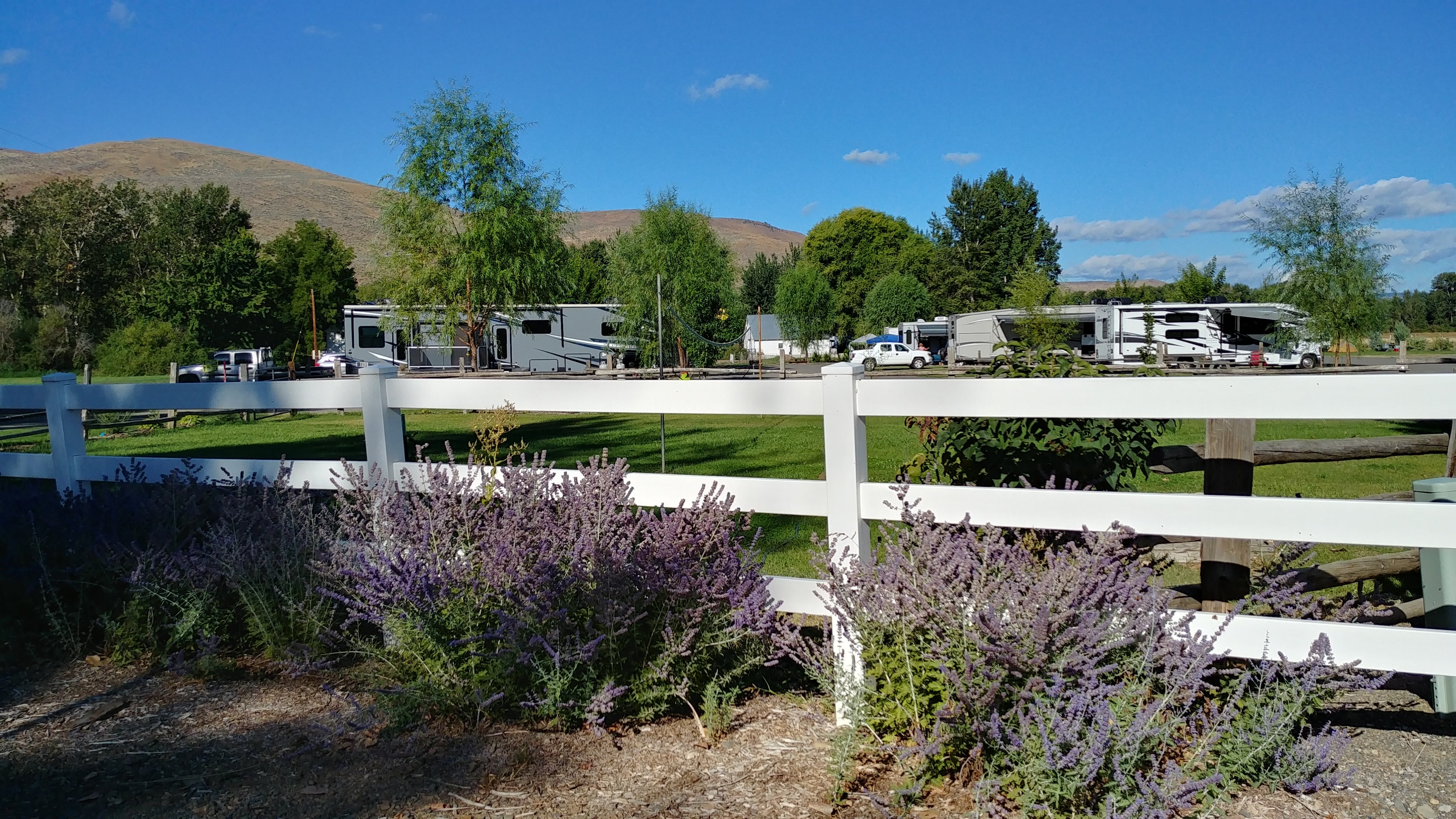 Camper submitted image from Yakima River RV Park - 2