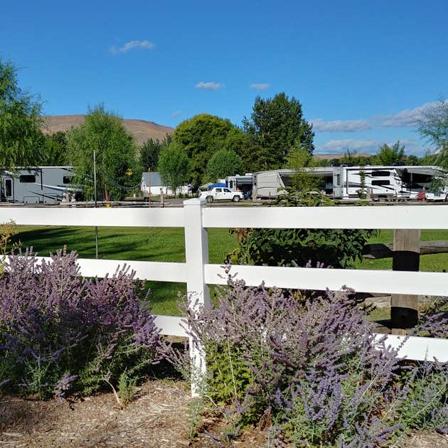 Yakima River RV Park Camping The Dyrt
