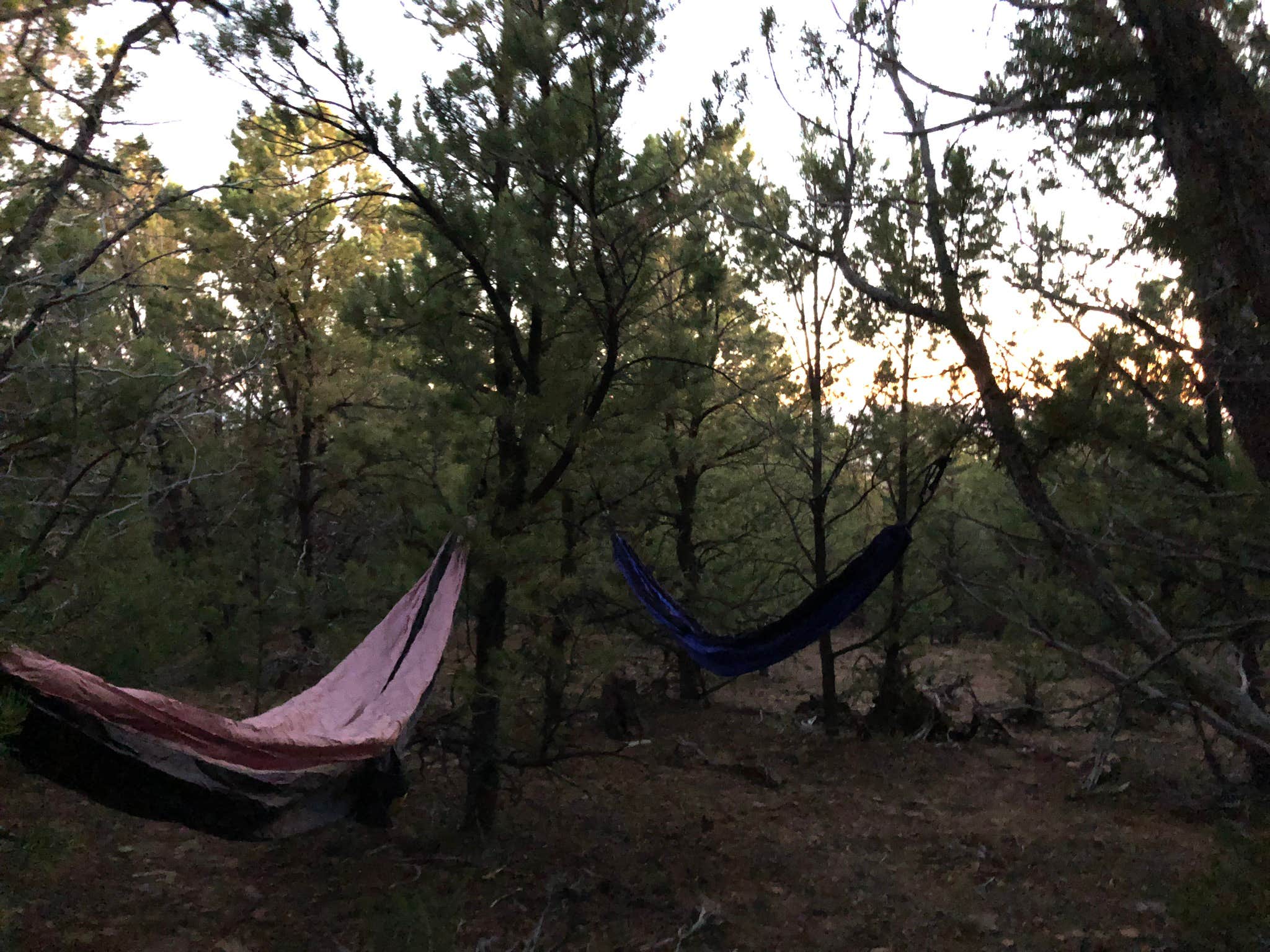 Camper-submitted photo at Black Canyon Dispersed Camping in Colorado