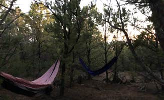 Dan E.'s photo of a dispersed camping area at Black Canyon Dispersed Camping near Lazear, CO