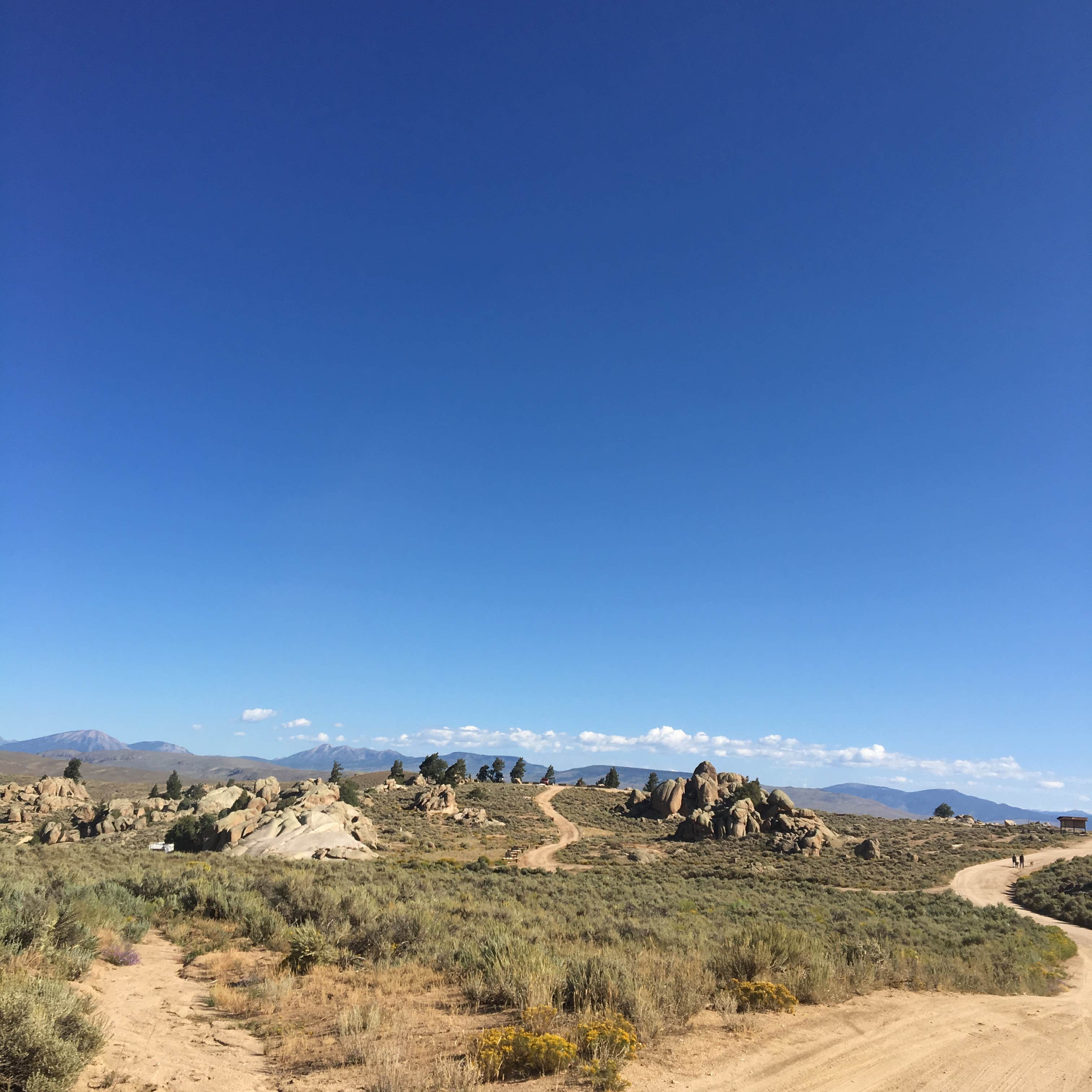 Curecanti National Recreation Area photo 5