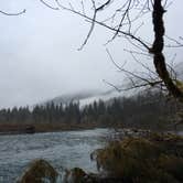 Review photo of Hoh Rain Forest - Olympic National Park by Shaun W., August 3, 2017